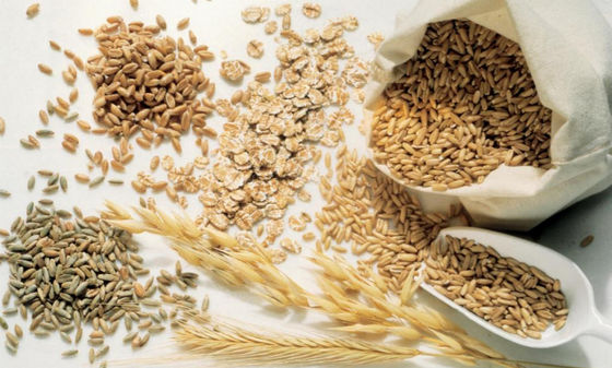 High Yield Nylon Woven Filter Fabric Mesh PA-22GG-950UM Thread Diameter 300UM